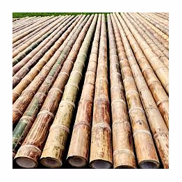 bamboo pole