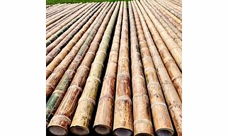 Bamboo pole