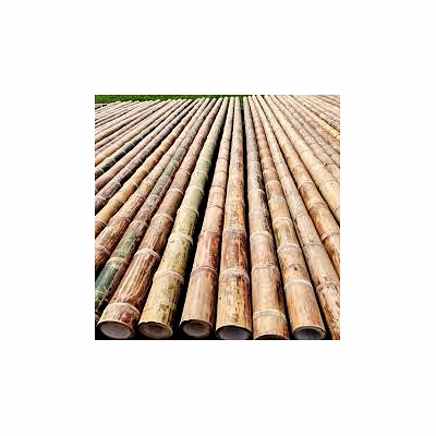 bamboo pole