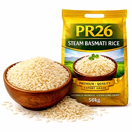 pr26 – steam