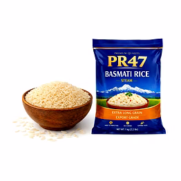 pr47 – steam