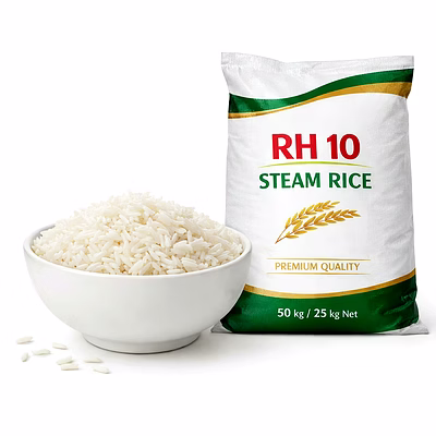 rh 10 steam