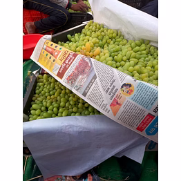 table grapes