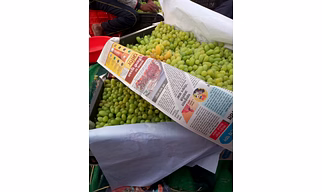 Table Grapes