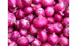 onion