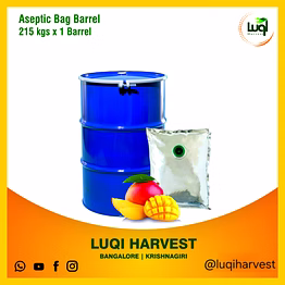 aseptic alphonso mango pulp 2025 crop