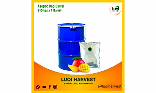 Aseptic Alphonso Mango Pulp 2025 Crop