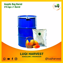 aseptic totapuri mango pulp 2025 crop