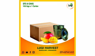 Premium Alphonso Mango Pulp 2025 Crop