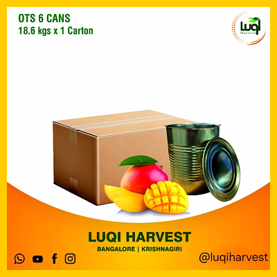 premium alphonso mango pulp 2025 crop