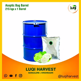 aseptic white guava pulp 2025 crop
