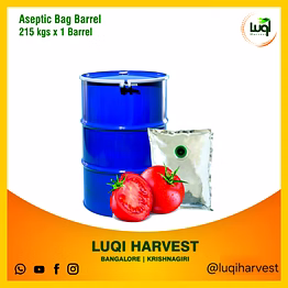 aseptic tomato paste 2025 crop