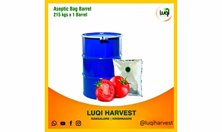 Aseptic Tomato Paste 2025 Crop