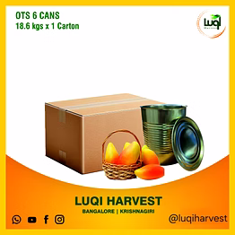 premium totapuri mango pulp 2025 crop