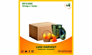 Premium Totapuri Mango Pulp 2025 Crop