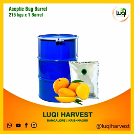 aseptic totapuri mango concentrate 2025 crop