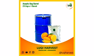 Aseptic Totapuri Mango Concentrate 2025 Crop