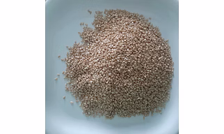 Sesame Seeds