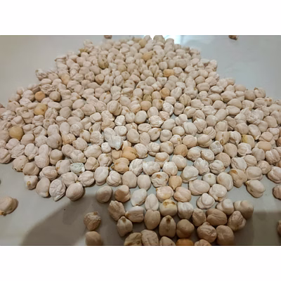 white chickpeas