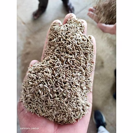 cumin seeds