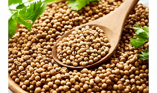 Coriander seeds