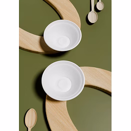 sugarcane bagasse bowl