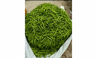 Cluster Beans