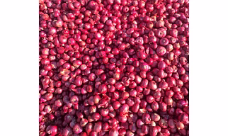 Red Onion