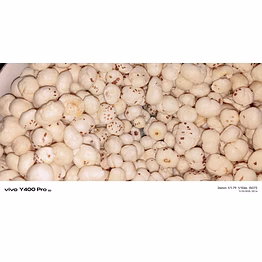### ✅ **1. premium quality makhana | handpicked, nutrient-rich, crispy & gluten-free superfood** ### ✅ **2. zentrex bluebird premium makhana | high-protein, low-fat, roasted & chemical-free lotus seeds** ### ✅ **3. export-grade makhana | large size, crunchy texture, cleaned, sorted & hygienically packed** ### ✅ **4. natural fox nuts makhana | rich in fiber, antioxidants, vegan, organic & heart-friendly snack** ### ✅ **5. healthy makhana superfood | non-gmo, crunchy, calcium-rich, ideal for w