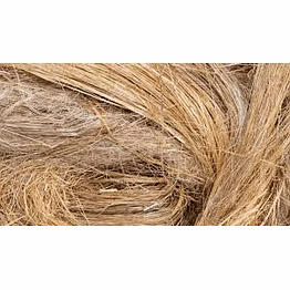 raw banana fiber
