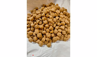 Soya chunk