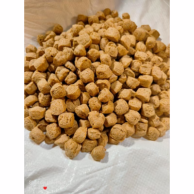 soya chunk