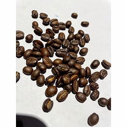 arabica coffee bean