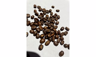 arabica Coffee Bean