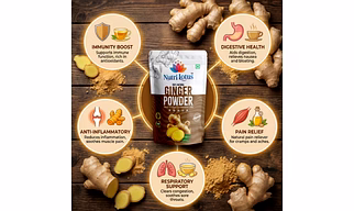 Nutrilotus Ginger Powder