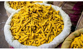 Turmeric