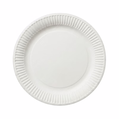 srishti export paper plate