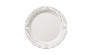 Paper Plate