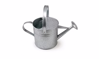 Water Cane