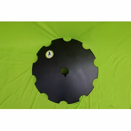 notched disc