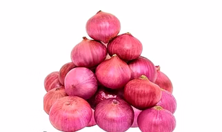 Onion