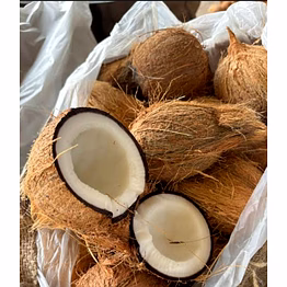 coconut