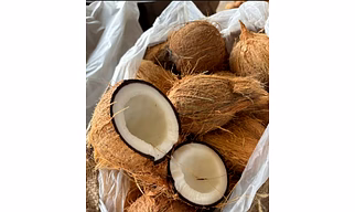 Coconut