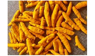 TURMERIC FINGER AND POWDER