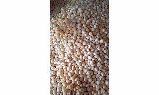 Makhana