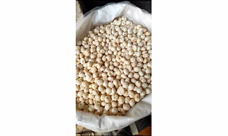 Makhana