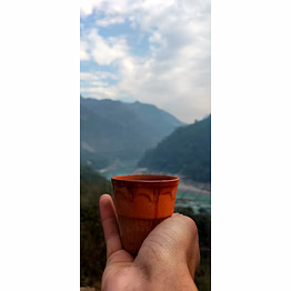 speciality coffee beans