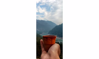 speciality coffee beans