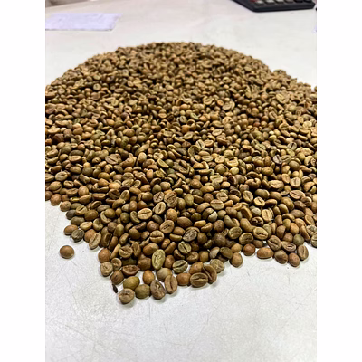 green coffee beans