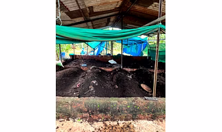 vermi compost